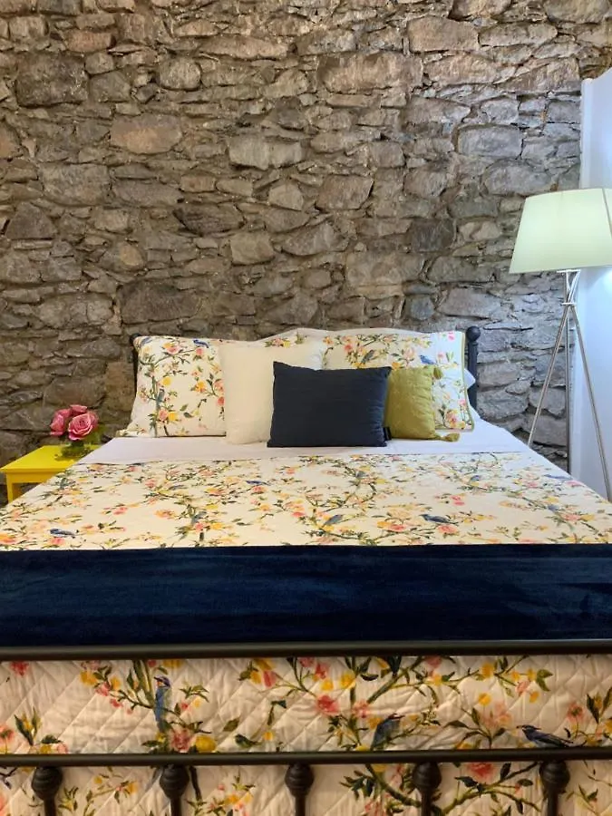 Techas City Center Luxurious Studio Praia Apartment